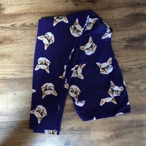 Unicorn Hipster cats TC EUC